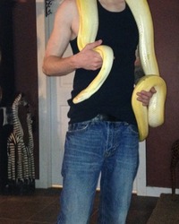JOSH WHITESNAKE