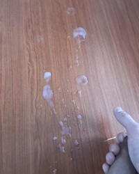 Dick in sperm