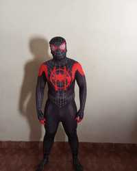 Spider in home