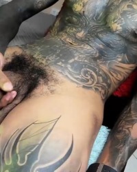 Great  cock