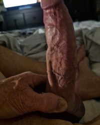 Hung veiny dad