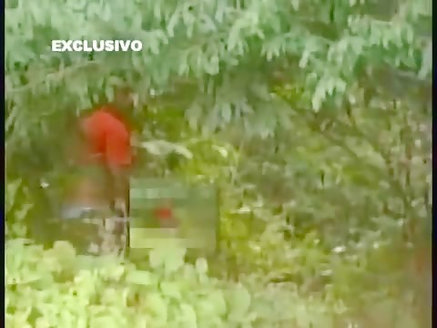 documentary on monster cock 21 inches 55cm found in brazil probably biggest ever